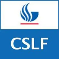 Center for State and Local Finance at the Andrew Young School of Policy Studies Center for State and Local Finance at the Andrew Young School of Policy Studies