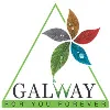 Galway Official