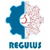 Regulus Soft Solutions Pvt. Ltd. Regulus Soft Solutions Pvt. Ltd.