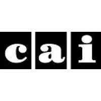 Capital Accountant Inc.