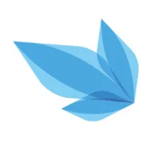 Blueleaf LLC