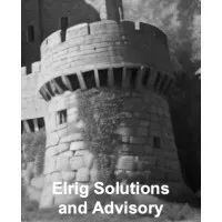 Elrig Solutions and Advisory