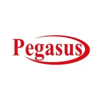 Pegasus International computer Co - Kuwait