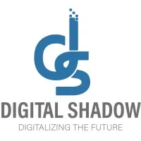 Digital Shadow IT
