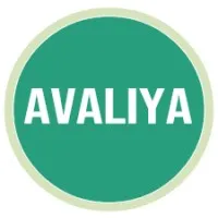 AVALIYA GLOBAL SERVICES PRIVATE LIMITED