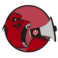 Megaphone Pro Solutions Inc.