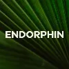 ENDORPHIN ENDORPHIN