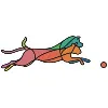 That's Fetch