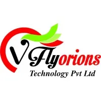 Vflyorions Technologies Pvt Ltd