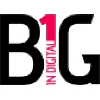 BIG IN DIGITAL INDONESIA