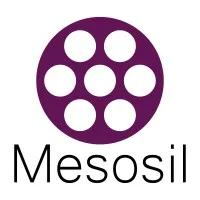 Mesosil
