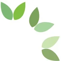 Environmental Accounting Services Environmental Accounting Services