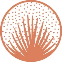 Palmetto | Interiors & Renovations 