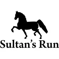 Sultan's Run