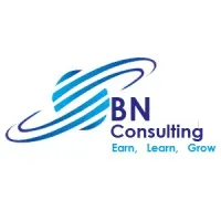 BN Global Consulting Services