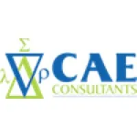 CAE Consultants