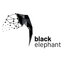 Black Elephant Black Elephant