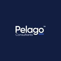 Pelago Consultants