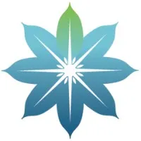Salience TMS Neuro Solutions, LLC