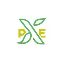 Produce Experience Produce Experience