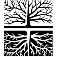 Collaborative Companies