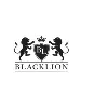 Blacklion Holdings Blacklion Holdings