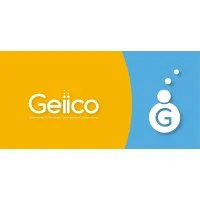 Geiico