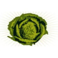 More Cabbage More Cabbage