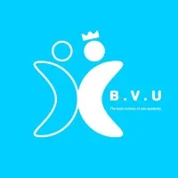 BVU ACADEMY