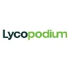 Lycopodium Lycopodium
