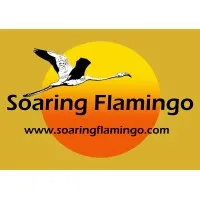 Soaring Flamingo