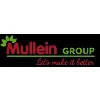 MULLEIN GROUP MULLEIN GROUP