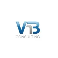 VNB Consulting Services