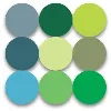 Coding Services Group Coding Services Group