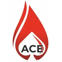 ACE Fire Services Ltd