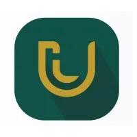 LUCID Investment Company