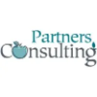 Partners Consulting Partners Consulting