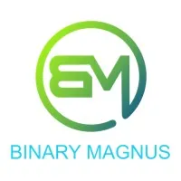 BinaryMagnus Solutions Pvt Ltd