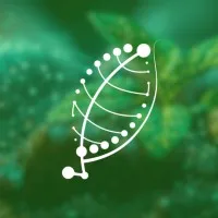 INCT NanoAgro - Nanotecnologia para Agricultura Sustentável INCT NanoAgro - Nanotecnologia para Agricultura Sustentável