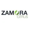 ZAMORA CITRUS ZAMORA CITRUS