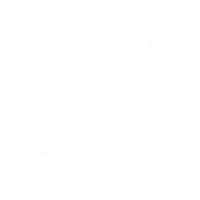 Advocate at Allahabad High Court