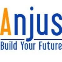 ANJUS LLC