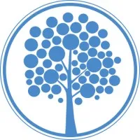 Davydov Consulting