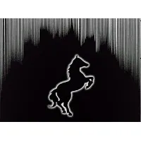 Black Horse Security & Cleaning Services