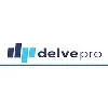 Delve Professionals LLC Delve Professionals LLC