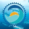 Stream2Sea Stream2Sea