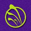 QuiAri Official QuiAri Official