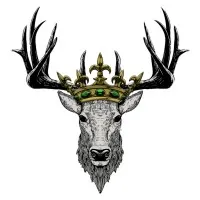 Medina Media Productions