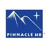 Pinnacle Business Solutions, Inc. Pinnacle Business Solutions, Inc.
