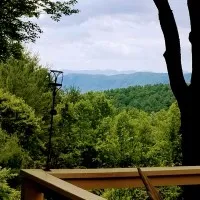 Dragonfly raleigh, United States